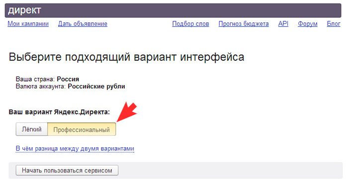 Яндекс.Директ: выбор настройки компании